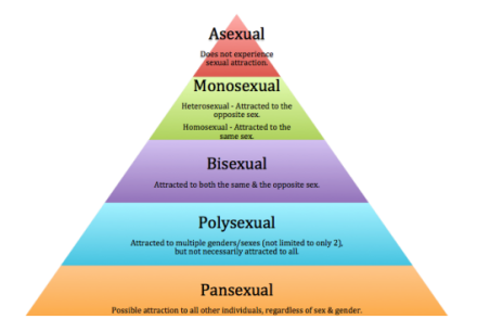 Sexual Orientation Pyramid